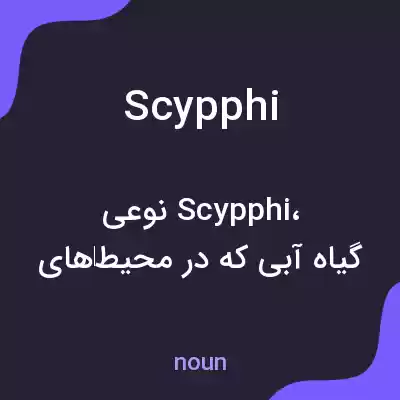 معنی scypphi به فارسی معنی scypphi به فارسی