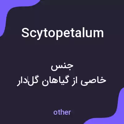 معنی scytopetalum به فارسی