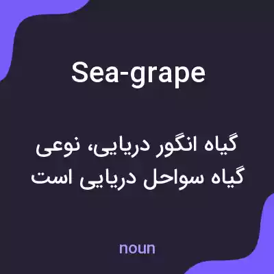 معنی sea-grape به فارسی معنی sea-grape به فارسی