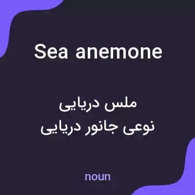 معنی sea anemone به فارسی معنی sea anemone به فارسی