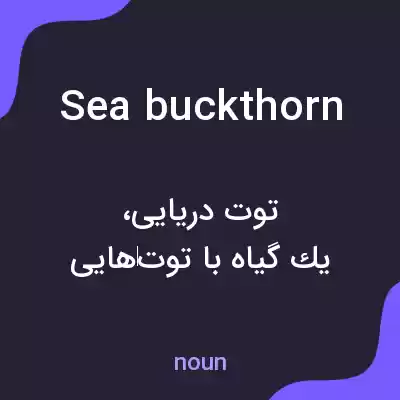 معنی sea buckthorn به فارسی معنی sea buckthorn به فارسی