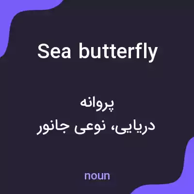 معنی sea butterfly به فارسی معنی sea butterfly به فارسی