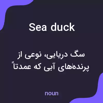 معنی sea duck به فارسی معنی sea duck به فارسی