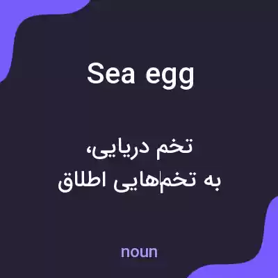 معنی sea egg به فارسی معنی sea egg به فارسی