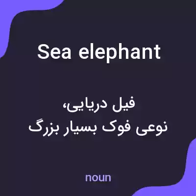 معنی sea elephant به فارسی معنی sea elephant به فارسی