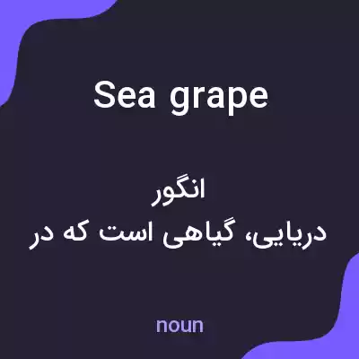 معنی sea grape به فارسی معنی sea grape به فارسی