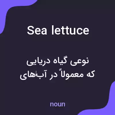 معنی sea lettuce به فارسی معنی sea lettuce به فارسی