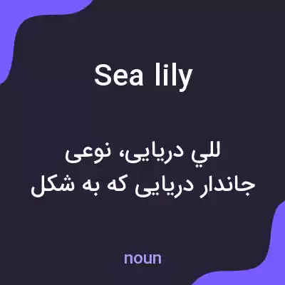 معنی sea lily به فارسی معنی sea lily به فارسی