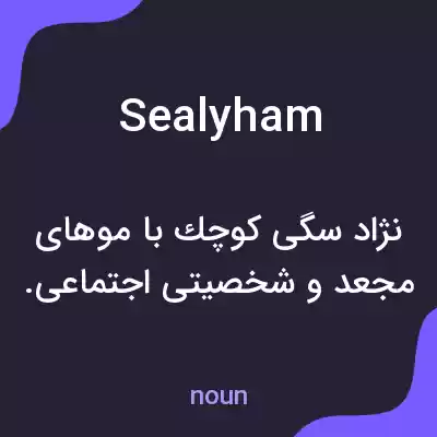 معنی sealyham به فارسی معنی sealyham به فارسی