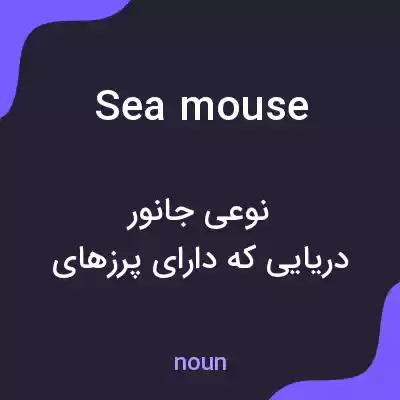 معنی sea mouse به فارسی معنی sea mouse به فارسی