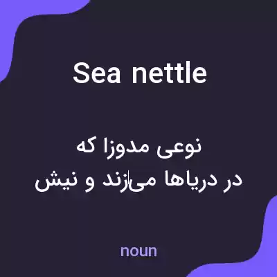 معنی sea nettle به فارسی معنی sea nettle به فارسی