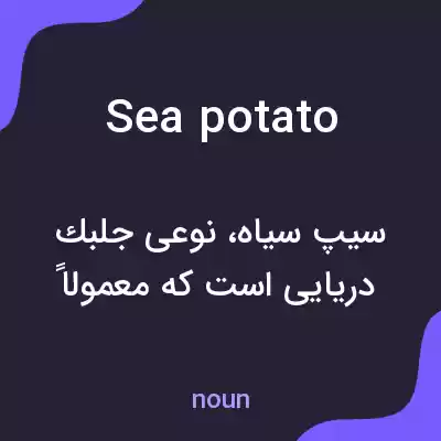 معنی sea potato به فارسی معنی sea potato به فارسی