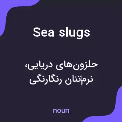 معنی sea slugs به فارسی معنی sea slugs به فارسی