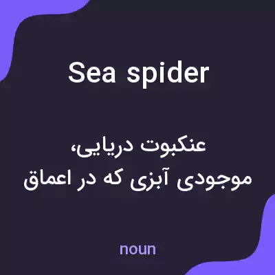 معنی sea spider به فارسی معنی sea spider به فارسی