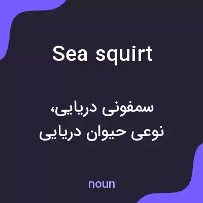 معنی sea squirt به فارسی معنی sea squirt به فارسی
