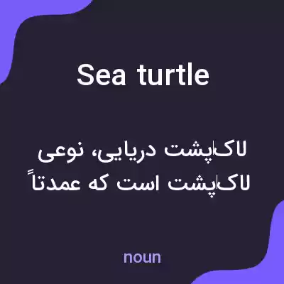 معنی sea turtle به فارسی معنی sea turtle به فارسی