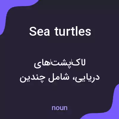 معنی sea turtles به فارسی معنی sea turtles به فارسی