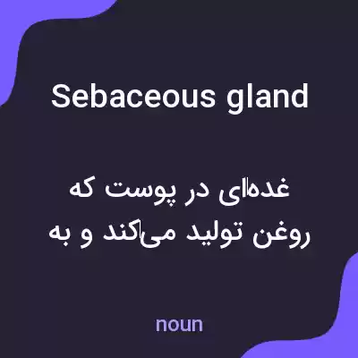 معنی sebaceous gland به فارسی معنی sebaceous gland به فارسی