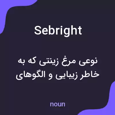 معنی sebright به فارسی معنی sebright به فارسی
