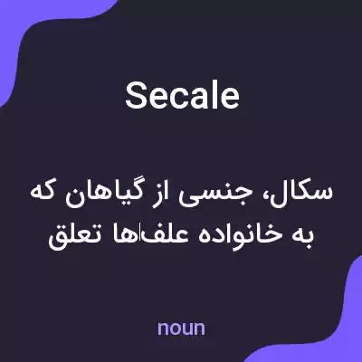 معنی secale به فارسی معنی secale به فارسی