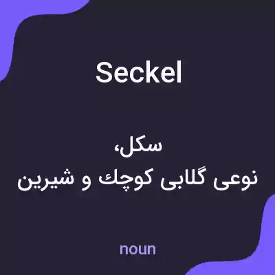 معنی seckel به فارسی معنی seckel به فارسی