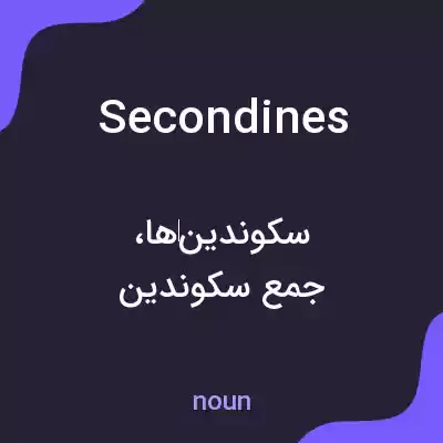 معنی secondines به فارسی معنی secondines به فارسی