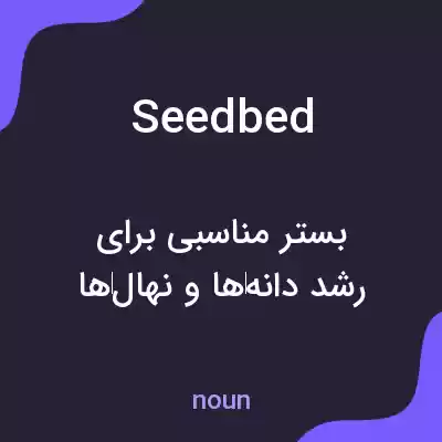 معنی seedbed به فارسی