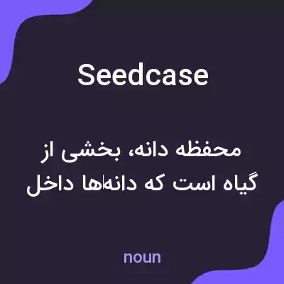 معنی seedcase به فارسی معنی seedcase به فارسی