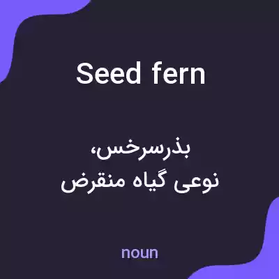 معنی seed fern به فارسی معنی seed fern به فارسی