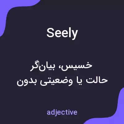 معنی seely به فارسی معنی seely به فارسی