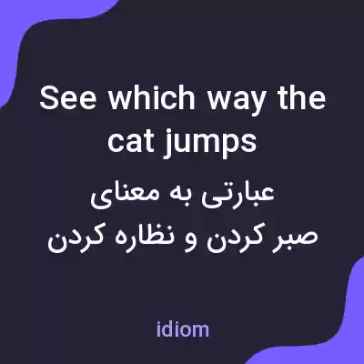 معنی see which way the cat jumps به فارسی معنی see which way the cat jumps به فارسی