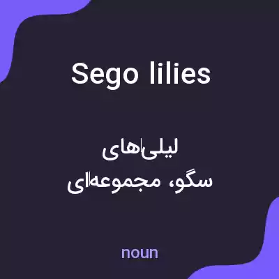 معنی sego lilies به فارسی معنی sego lilies به فارسی