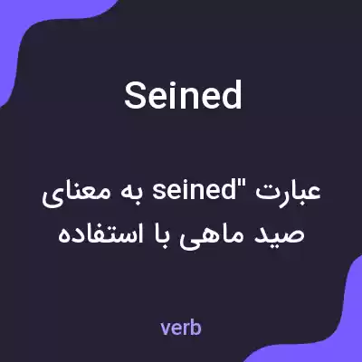 معنی seined به فارسی معنی seined به فارسی