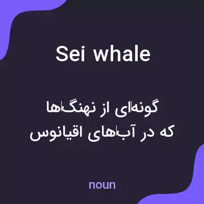 معنی sei whale به فارسی معنی sei whale به فارسی