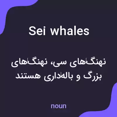 معنی sei whales به فارسی معنی sei whales به فارسی