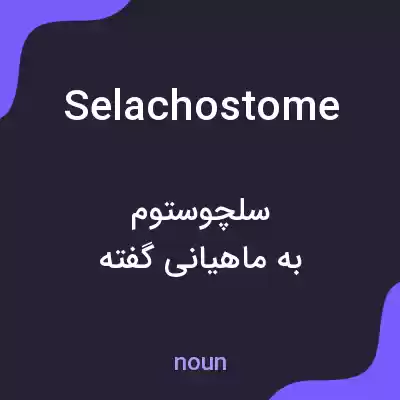 معنی selachostome به فارسی معنی selachostome به فارسی