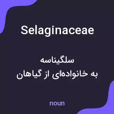 معنی selaginaceae به فارسی معنی selaginaceae به فارسی