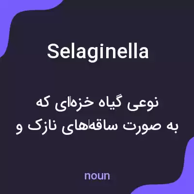 معنی selaginella به فارسی معنی selaginella به فارسی