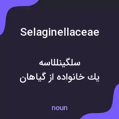 معنی selaginellaceae به فارسی معنی selaginellaceae به فارسی