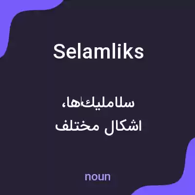 معنی selamliks به فارسی معنی selamliks به فارسی