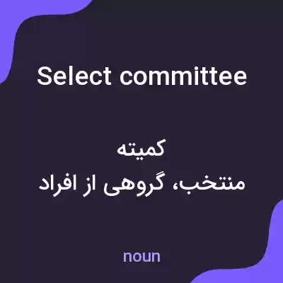 معنی select committee به فارسی معنی select committee به فارسی