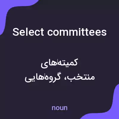 معنی select committees به فارسی معنی select committees به فارسی