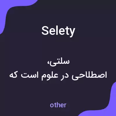 معنی selety به فارسی معنی selety به فارسی