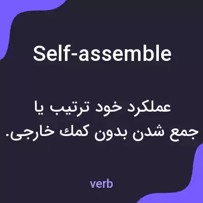 معنی self-assemble به فارسی معنی self-assemble به فارسی