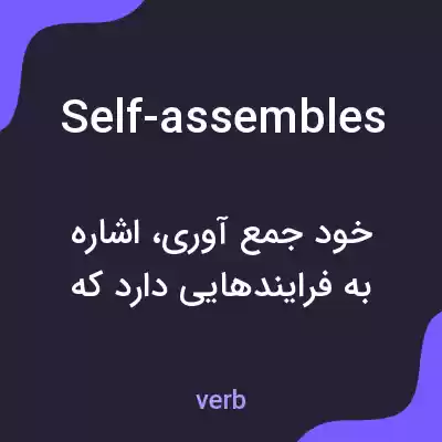 معنی self-assembles به فارسی معنی self-assembles به فارسی