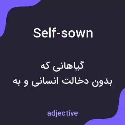 معنی self-sown به فارسی معنی self-sown به فارسی