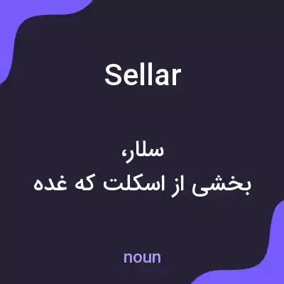 معنی sellar به فارسی معنی sellar به فارسی
