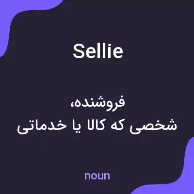 معنی sellie به فارسی معنی sellie به فارسی