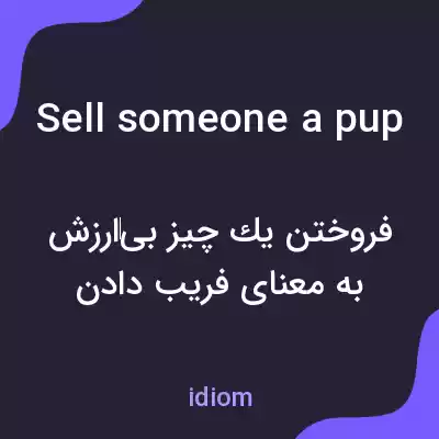 معنی sell someone a pup به فارسی معنی sell someone a pup به فارسی