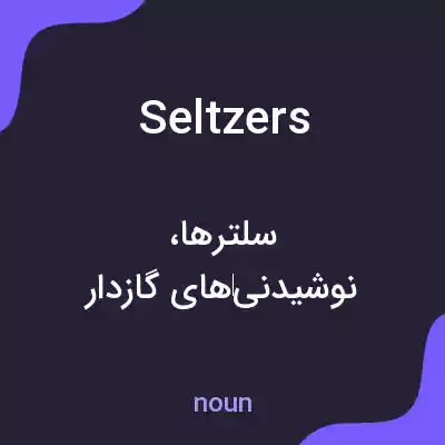 معنی seltzers به فارسی معنی seltzers به فارسی